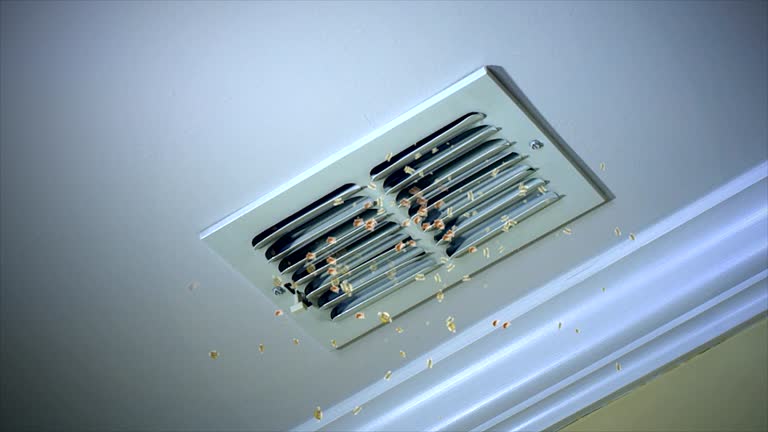 Best Residential Air Duct Cleaning  in Lathrop, MO