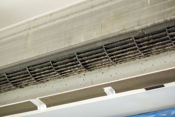 Best Emergency Air Duct Cleaning  in Lathrop, MO